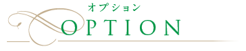 オプション OPTION