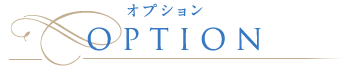 オプション OPTION