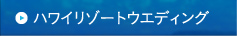 �n���C���]�[�g�E�G�f�B���O
