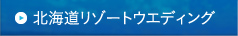 �k�C�����]�[�g�E�G�f�B���O