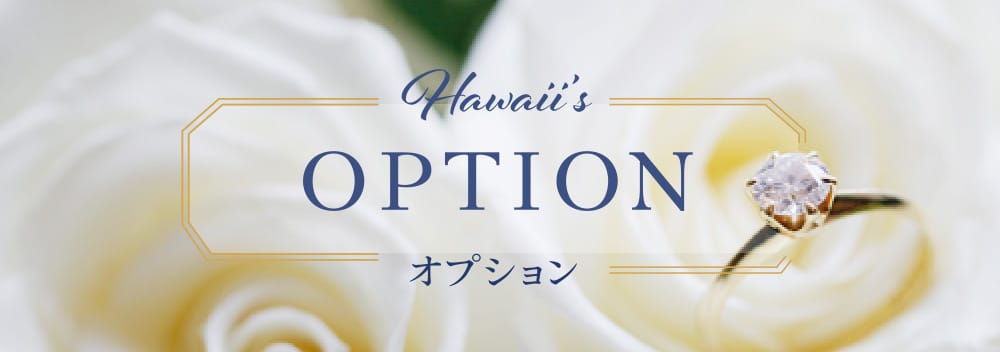 Hawaii's OPTION