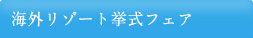 �C�O���]�[�g�����t�F�A