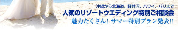 ���ꂩ��k�C���E�y���E�n���C�E�o���܂ŁB�l�C�̃��]�[�g�E�G�f�B���O���ʂ����k��