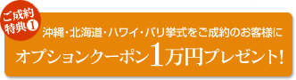 ����E�k�C���E�n���C�E�o��������������̂��q�l�ɃI�v�V�����N�[�|��1���~�v���[���g