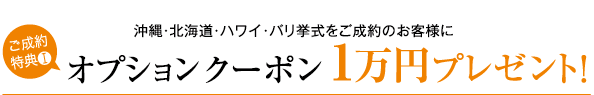 ������
���T�@����E�k�C���E�n���C�E�o��������������̂��q�l�ɃI�v�V�����N�[�|���P���~�v���[���g�I