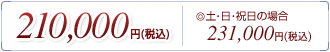 210,000�~�i�ō��j�A�y�E���E�j���̏ꍇ231,000�~�i�ō��j