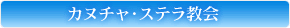�J�k�`���E�X�e������