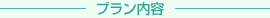 �v�������e
