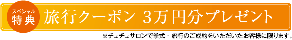 ���s�N�[�|���@3���~���v���[���g