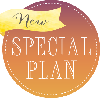 SPECIAL PLAN
