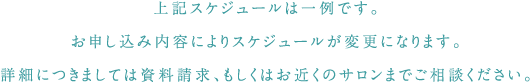 上記スケジュールは一例です。お申し込み内容によりスケジュールが変更になります。詳細につきましては資料請求、もしくはお近くのサロンまでご相談ください。