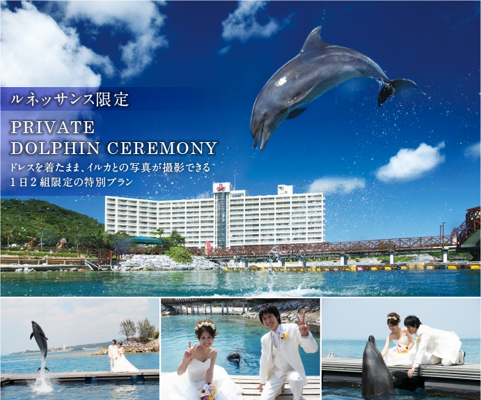 ルネッサンス限定 PRIVATE DOLPHIN CEREMONY ドレスを着たまま、イルカとの写真が撮影できる1日2組限定の特別プラン