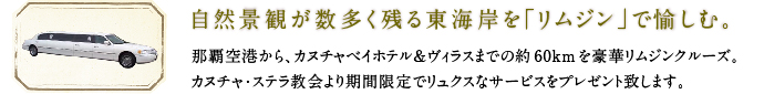 自然景観が数多く残る東海岸を「リムジン」で愉しむ