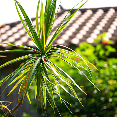結婚式での思い出写真5